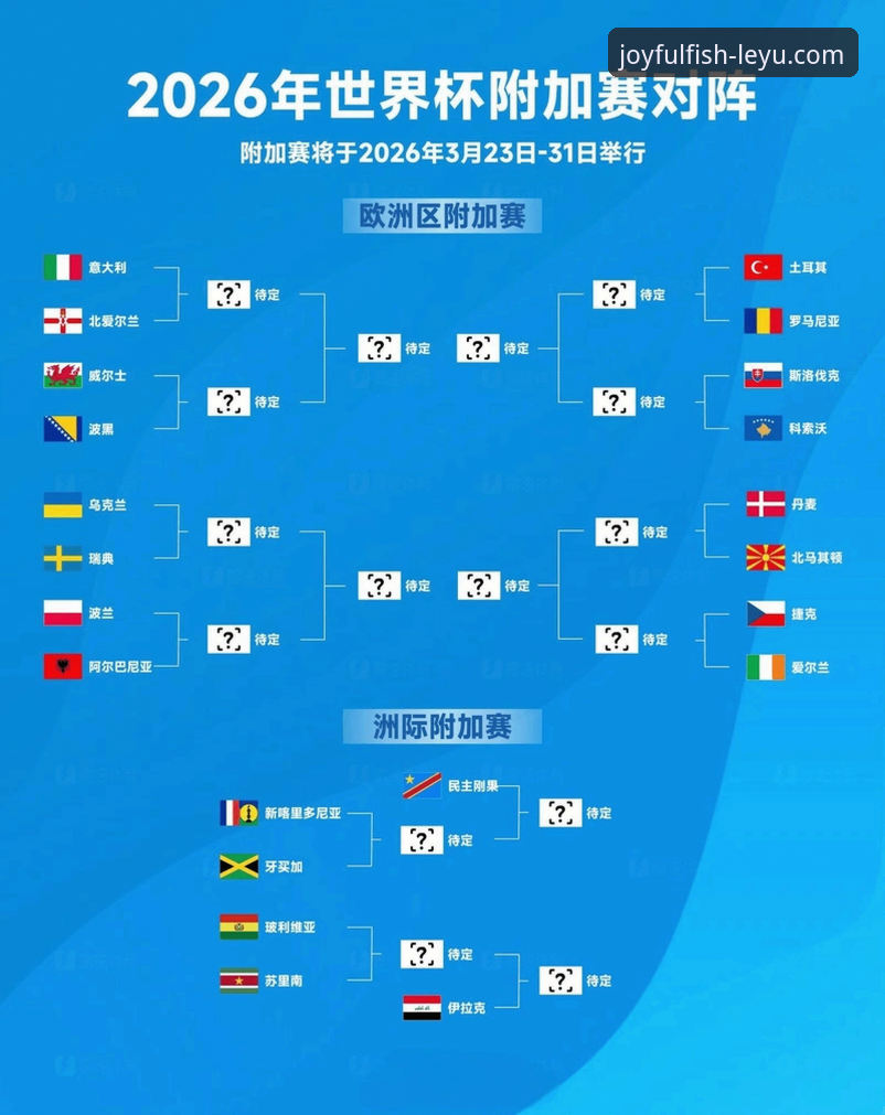 乐鱼体育平台实时追踪世界杯附加赛：民主刚果绝杀晋级全记录教程